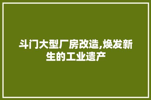斗门大型厂房改造,焕发新生的工业遗产