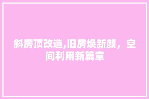 斜房顶改造,旧房焕新颜，空间利用新篇章 综合便民