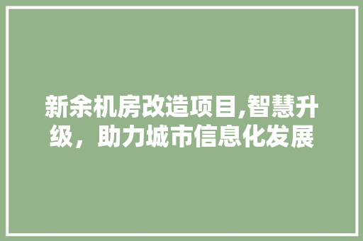 新余机房改造项目,智慧升级，助力城市信息化发展