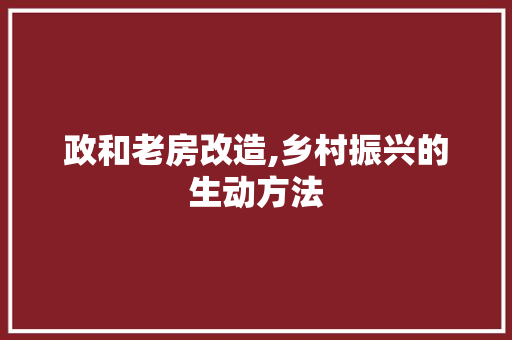 政和老房改造,乡村振兴的生动方法 厨房维修