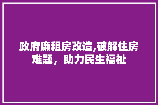 政府廉租房改造,破解住房难题，助力民生福祉 综合便民