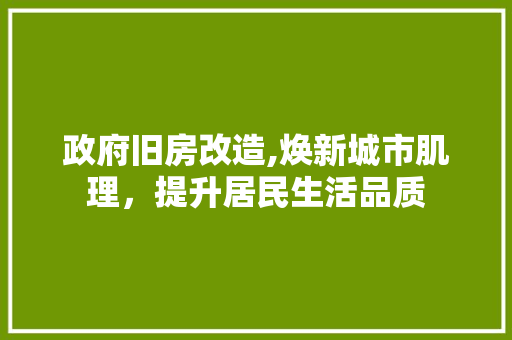 政府旧房改造,焕新城市肌理，提升居民生活品质 综合便民