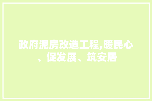 政府泥房改造工程,暖民心、促发展、筑安居