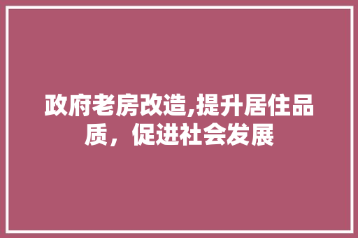 政府老房改造,提升居住品质，促进社会发展