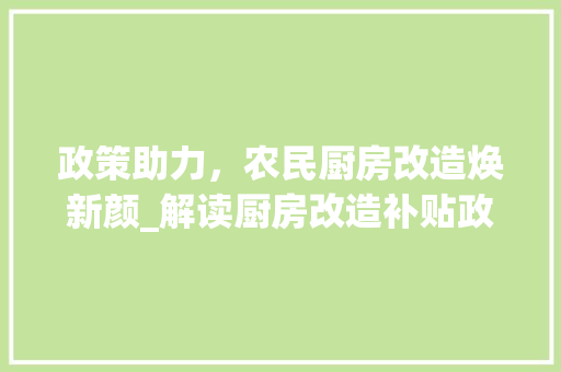 政策助力，农民厨房改造焕新颜_解读厨房改造补贴政策