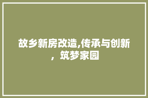 故乡新房改造,传承与创新，筑梦家园