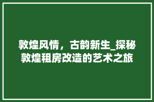 敦煌风情，古韵新生_探秘敦煌租房改造的艺术之旅