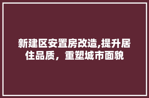 新建区安置房改造,提升居住品质，重塑城市面貌 墙体维修