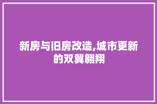 新房与旧房改造,城市更新的双翼翱翔