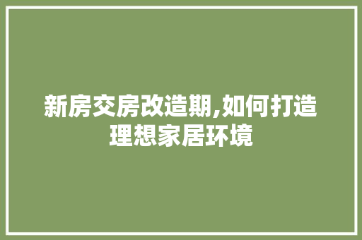 新房交房改造期,如何打造理想家居环境