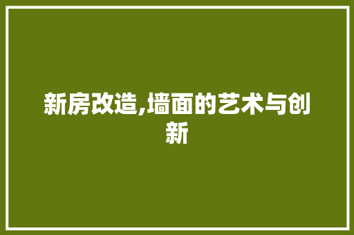 新房改造,墙面的艺术与创新