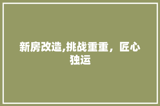 新房改造,挑战重重，匠心独运