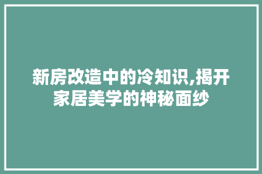新房改造中的冷知识,揭开家居美学的神秘面纱