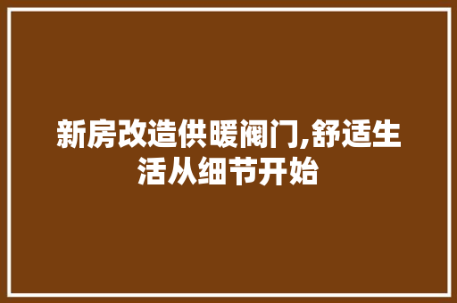 新房改造供暖阀门,舒适生活从细节开始