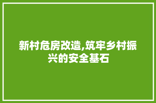 新村危房改造,筑牢乡村振兴的安全基石