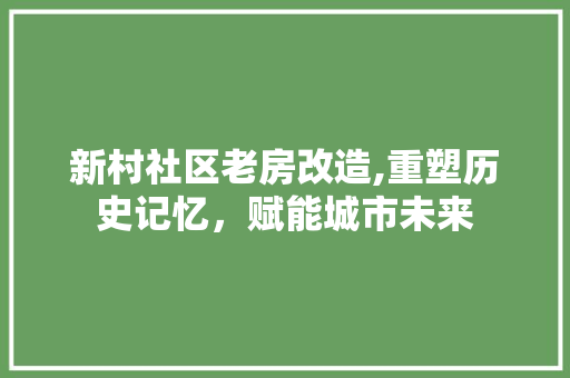 新村社区老房改造,重塑历史记忆，赋能城市未来 综合便民