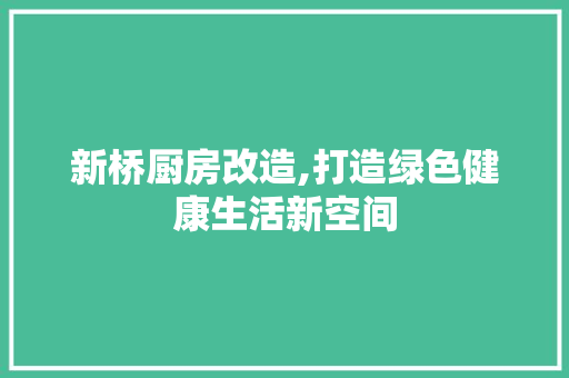 新桥厨房改造,打造绿色健康生活新空间 汽车维修