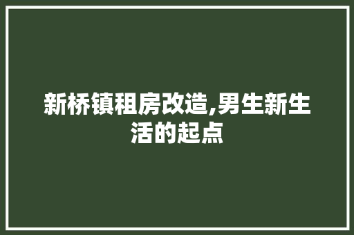 新桥镇租房改造,男生新生活的起点 综合便民