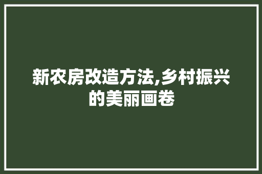 新农房改造方法,乡村振兴的美丽画卷 综合便民