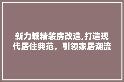 新力城精装房改造,打造现代居住典范，引领家居潮流