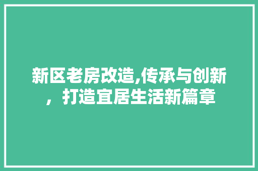 新区老房改造,传承与创新，打造宜居生活新篇章