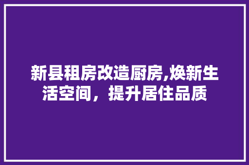 新县租房改造厨房,焕新生活空间，提升居住品质 家电维修