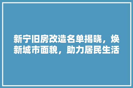 新宁旧房改造名单揭晓，焕新城市面貌，助力居民生活品质提升 综合便民