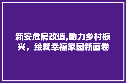 新安危房改造,助力乡村振兴，绘就幸福家园新画卷 综合便民