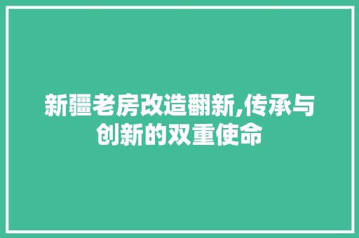 新疆老房改造翻新,传承与创新的双重使命