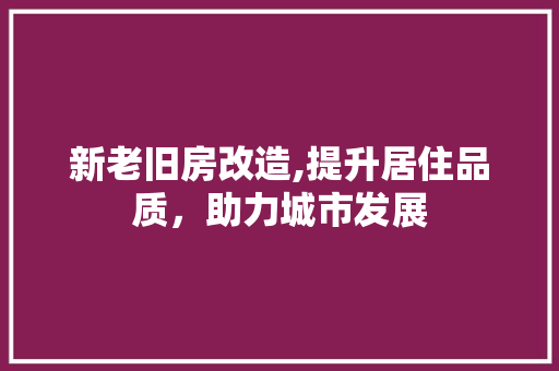 新老旧房改造,提升居住品质，助力城市发展