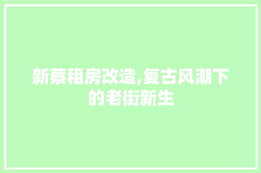 新蔡租房改造,复古风潮下的老街新生