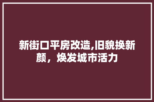 新街口平房改造,旧貌换新颜，焕发城市活力