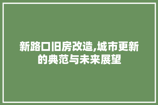 新路口旧房改造,城市更新的典范与未来展望 墙体维修