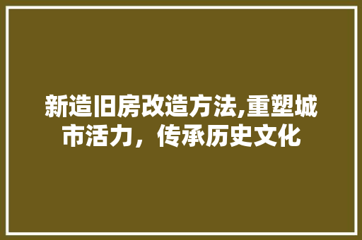 新造旧房改造方法,重塑城市活力，传承历史文化 汽车维修