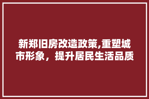 新郑旧房改造政策,重塑城市形象，提升居民生活品质