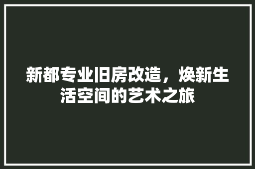 新都专业旧房改造，焕新生活空间的艺术之旅