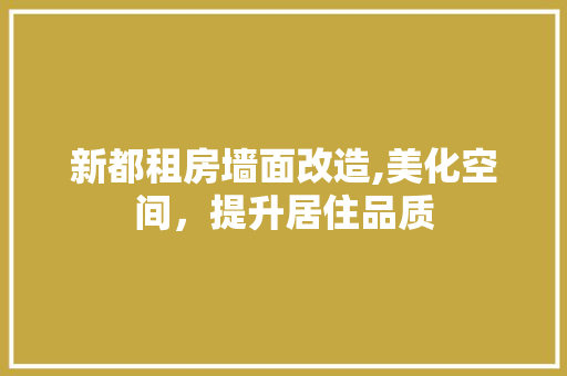 新都租房墙面改造,美化空间，提升居住品质