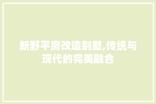 新野平房改造别墅,传统与现代的完美融合