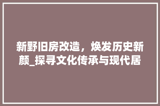 新野旧房改造，焕发历史新颜_探寻文化传承与现代居住的完美融合