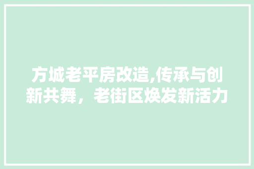 方城老平房改造,传承与创新共舞，老街区焕发新活力 综合便民