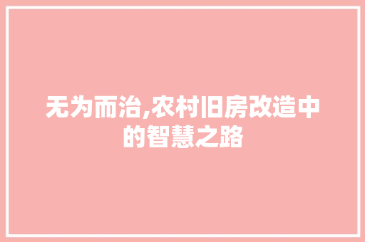 无为而治,农村旧房改造中的智慧之路 综合便民