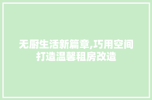 无厨生活新篇章,巧用空间打造温馨租房改造