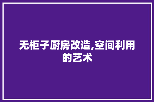 无柜子厨房改造,空间利用的艺术
