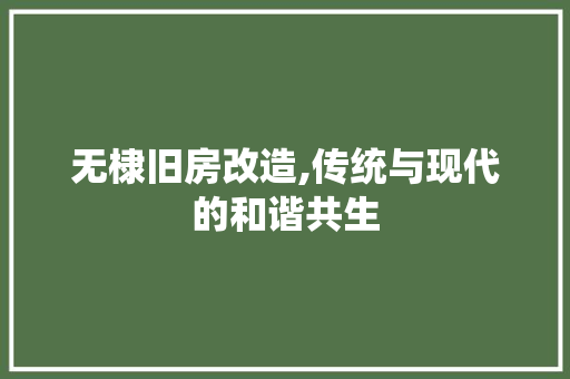无棣旧房改造,传统与现代的和谐共生