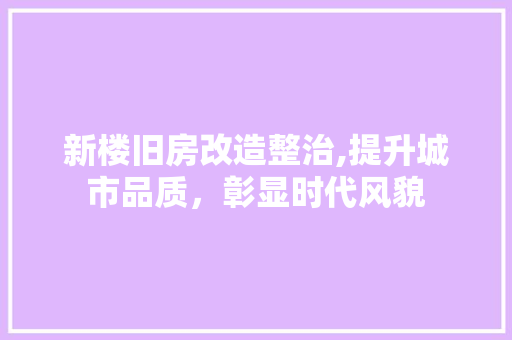新楼旧房改造整治,提升城市品质，彰显时代风貌