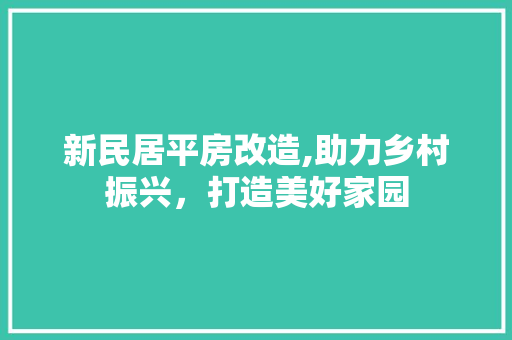 新民居平房改造,助力乡村振兴，打造美好家园