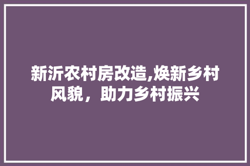 新沂农村房改造,焕新乡村风貌，助力乡村振兴