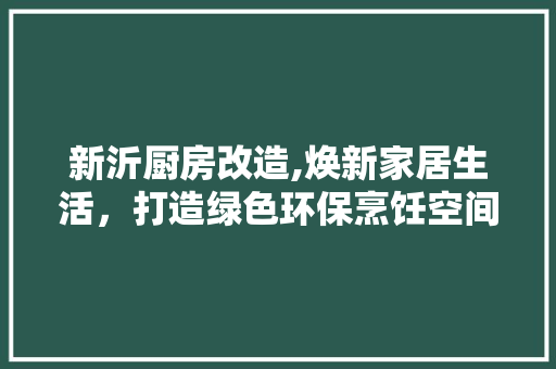 新沂厨房改造,焕新家居生活，打造绿色环保烹饪空间