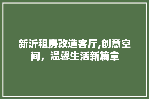 新沂租房改造客厅,创意空间，温馨生活新篇章