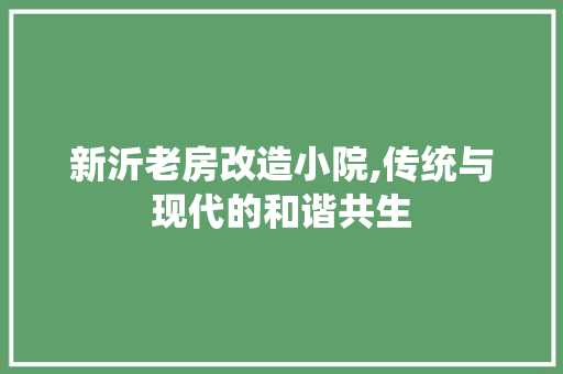 新沂老房改造小院,传统与现代的和谐共生